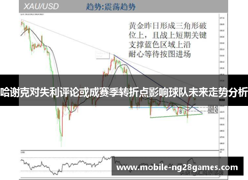 哈谢克对失利评论或成赛季转折点影响球队未来走势分析